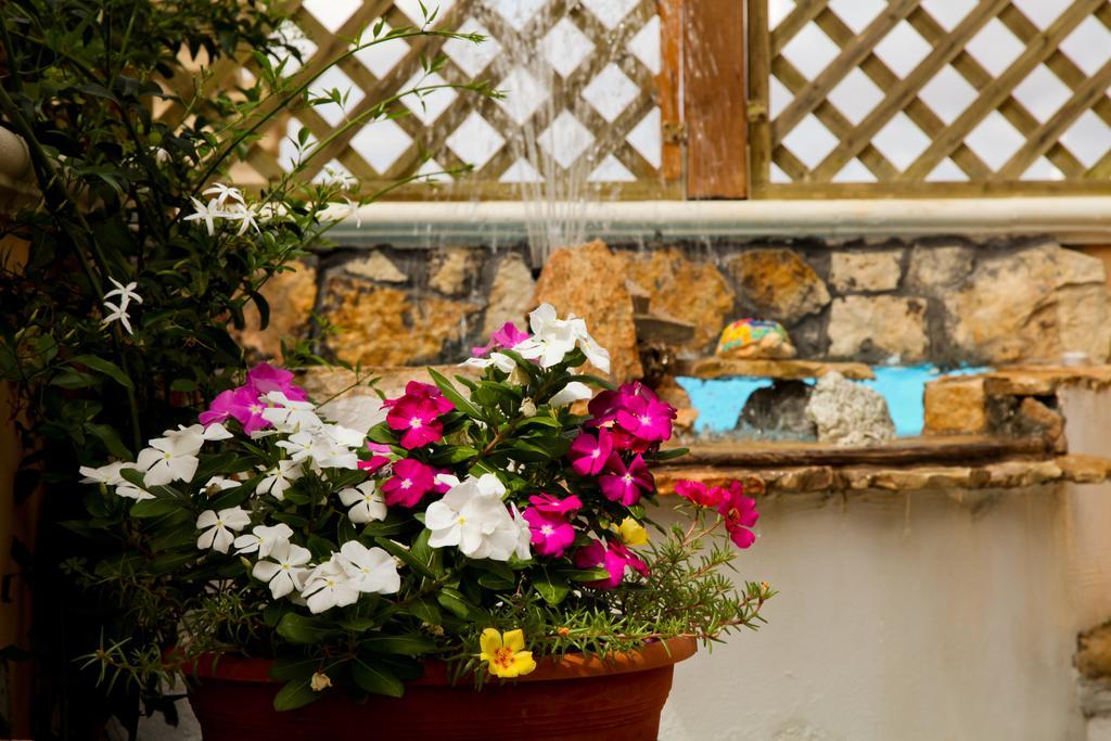 Bonjour Bed & Breakfast Morciano di Leuca Dış mekan fotoğraf